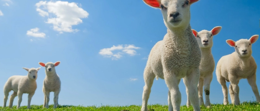 Tot 18 maart, Lentepromodagen bij DMG