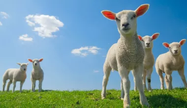 Tot 18 maart, Lentepromodagen bij DMG